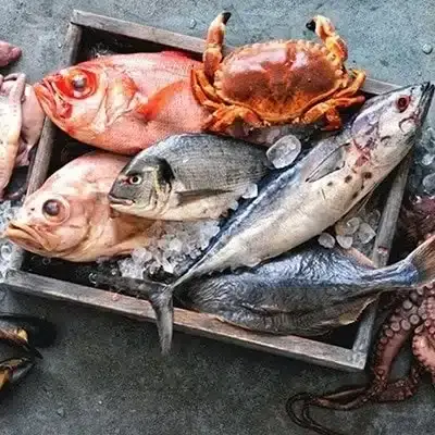 Box avec différents poissons